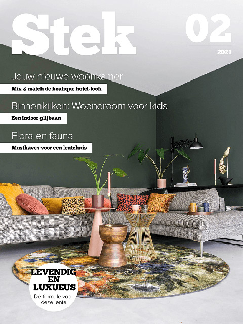 Stek Magazine cover 02-2021
